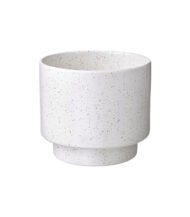 Drakfrukt - Зображення 2