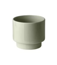 Drakfrukt - Зображення 3